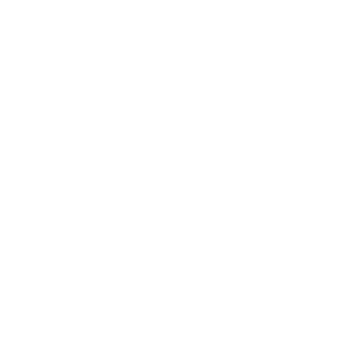 100% Customized Tours